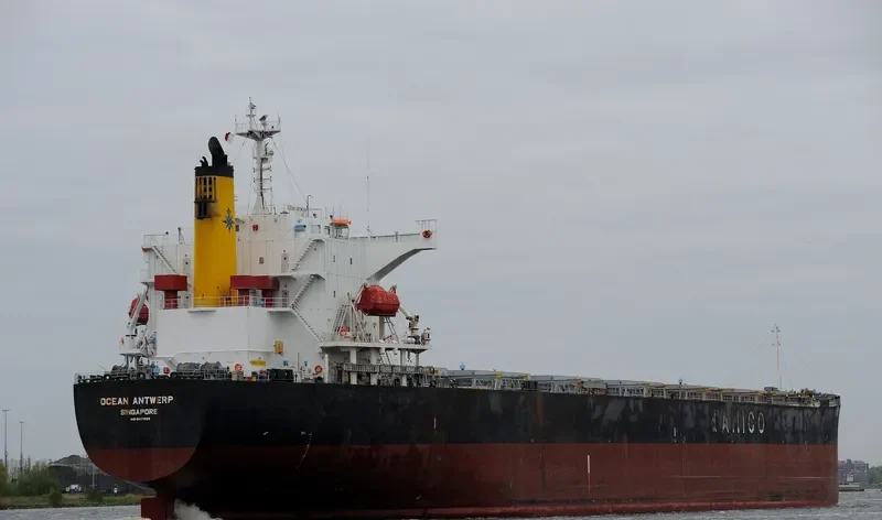 OCEAN ZENON Bulk Carrier IMO 9427029 photo 3