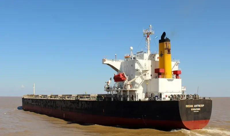 OCEAN ZENON Bulk Carrier IMO 9427029 photo 5