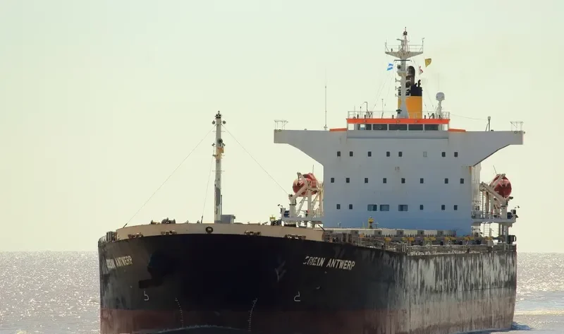 OCEAN ZENON Bulk Carrier IMO 9427029 photo 7