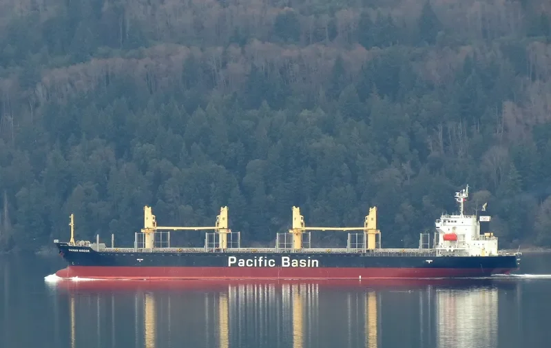 DAIWAN WISDOM Bulk Carrier IMO 9427134 photo 10
