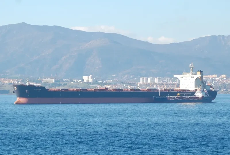 SAVINA Bulk Carrier IMO 9427316 photo 7