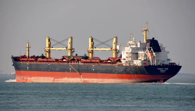 KARPATHOS DAWN Bulk Carrier IMO 9427342 photo 2