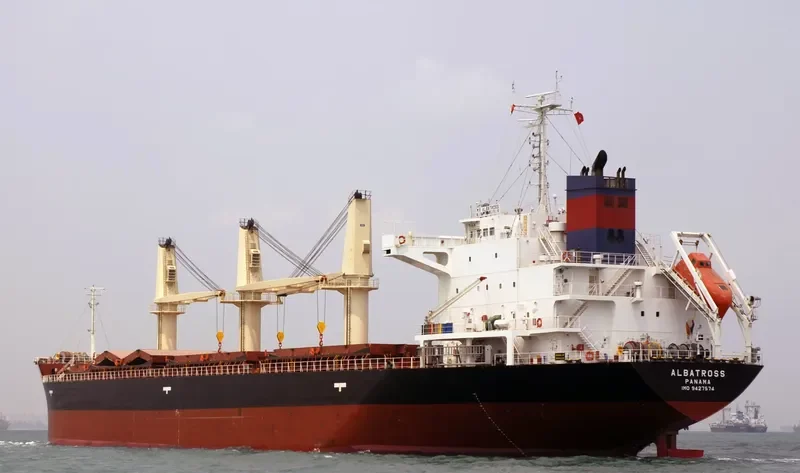 LUCKY TRADER Bulk Carrier IMO 9427574 photo 10