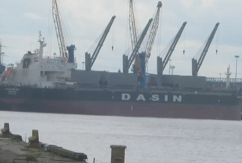 MANDARIN SKY Bulk Carrier IMO 9427902 photo 9