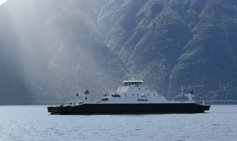 ARDAL Ro-Ro IMO 9428803 photo 2