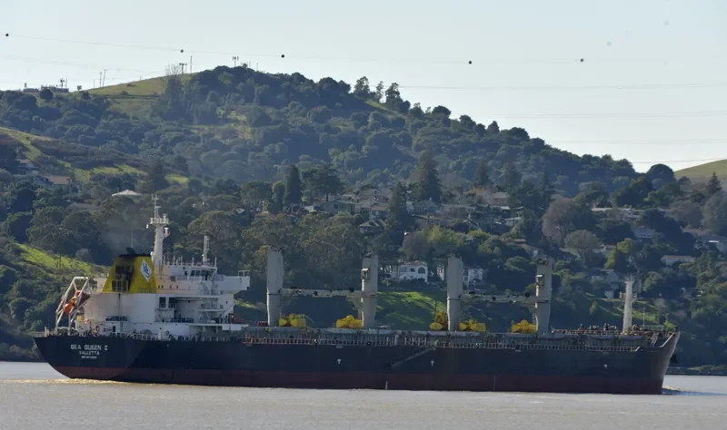 SANIA Bulk Carrier IMO 9429065 photo 5