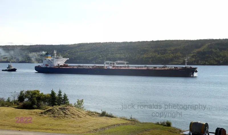VIOLANDO Tanker IMO 9429285 photo 5