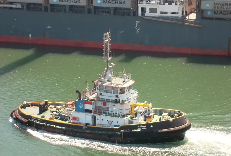 SALAM8 General Cargo IMO 9429405