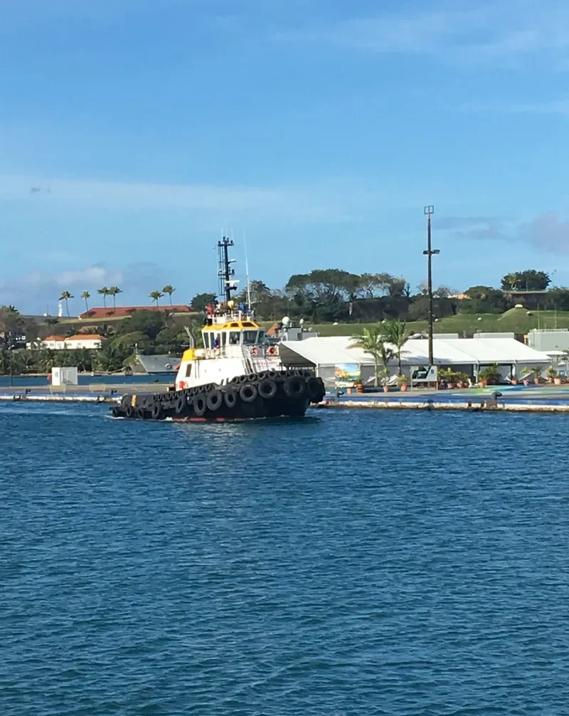 CHIEFTAN General Cargo IMO 9429522 photo 4