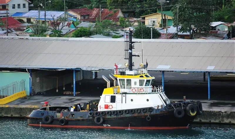 CHIEFTAN General Cargo IMO 9429522 photo 8
