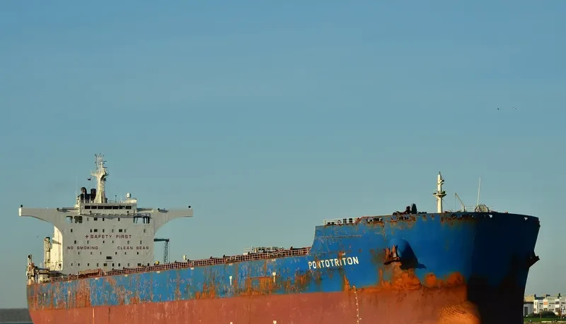 PONTOTRITON Bulk Carrier IMO 9429869 photo 8