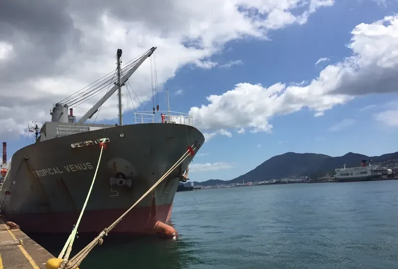 TROPICAL VENUS General Cargo IMO 9430014