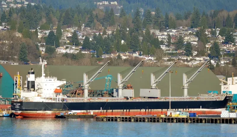 ANIKITOS Bulk Carrier IMO 9430806 photo 3