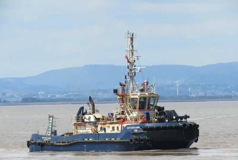 SVITZER HAWK General Cargo IMO 9431068 photo 8