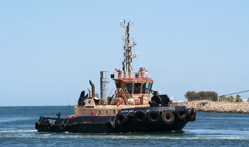 SVITZER EAGLE General Cargo IMO 9431070 photo 8