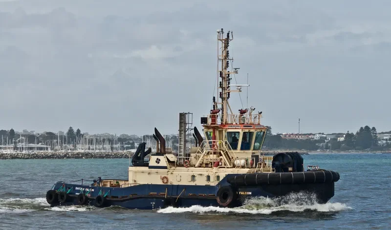 SVITZER FALCON General Cargo IMO 9431082 photo 2