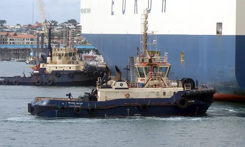 SVITZER FALCON General Cargo IMO 9431082 photo 7