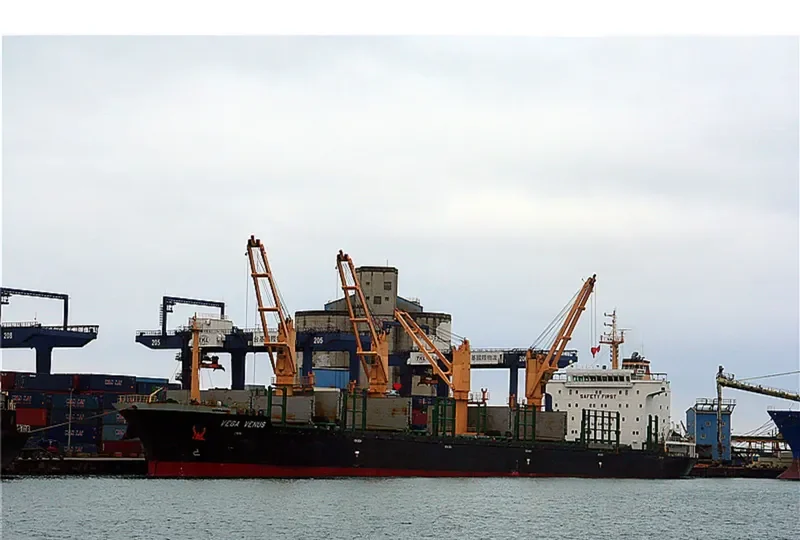 BASTIONS Bulk Carrier IMO 9431173 photo 4