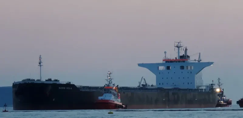 BASTIONS Bulk Carrier IMO 9431173 photo 9