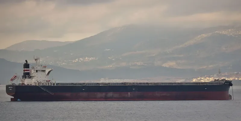 BELLEVUE Bulk Carrier IMO 9431185