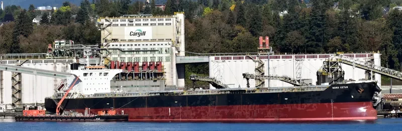 BELLEVUE Bulk Carrier IMO 9431185 photo 5
