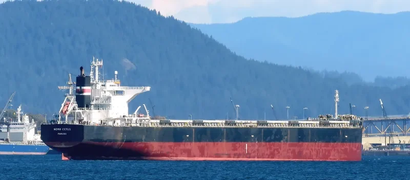 BELLEVUE Bulk Carrier IMO 9431185 photo 7