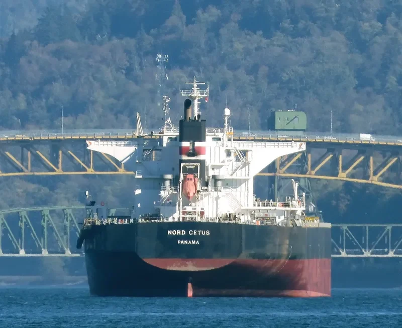 BELLEVUE Bulk Carrier IMO 9431185 photo 8