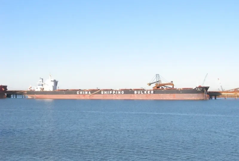 CSB FORTUNE Bulk Carrier IMO 9431226