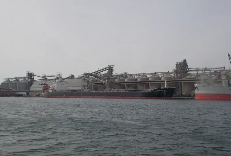 LILA TOKYO Bulk Carrier IMO 9431525 photo 3
