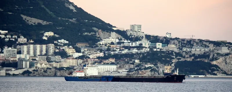 LILA TOKYO Bulk Carrier IMO 9431525 photo 5
