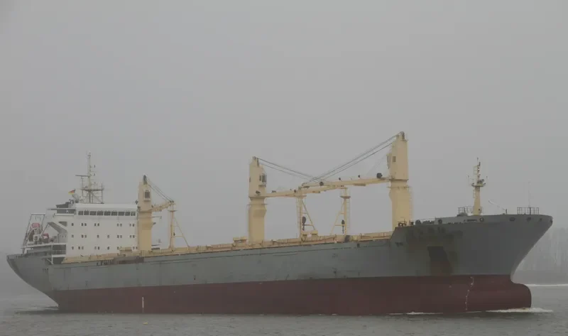 HUAYANG SUNRISE Bulk Carrier IMO 9431898 photo 6