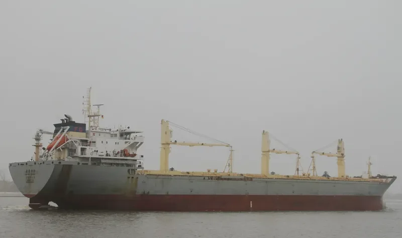 HUAYANG SUNRISE Bulk Carrier IMO 9431898 photo 8