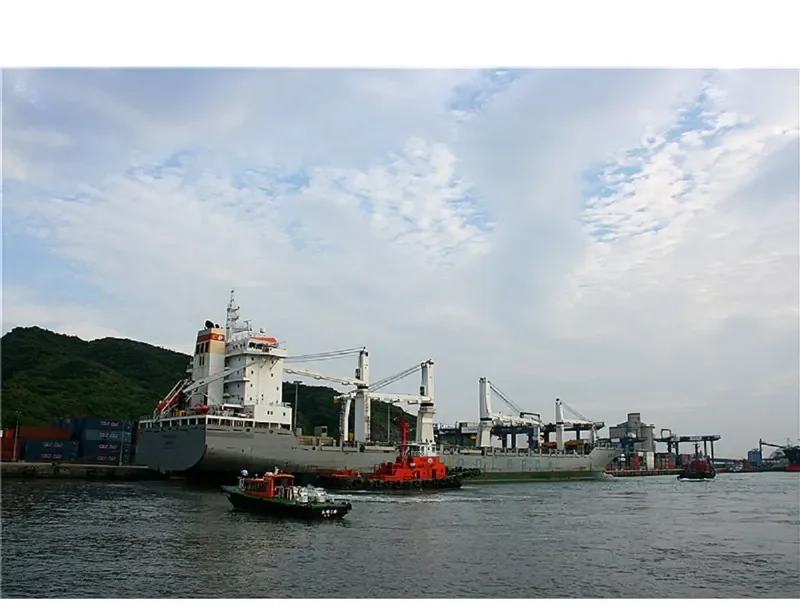 ADAM ASNYK General Cargo IMO 9432115 photo 25
