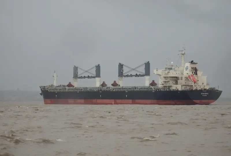 SEACON 6 Bulk Carrier IMO 9432256 photo 2