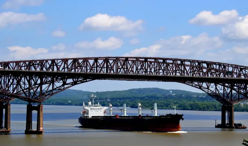 DENSA TIGER Bulk Carrier IMO 9432476 photo 7