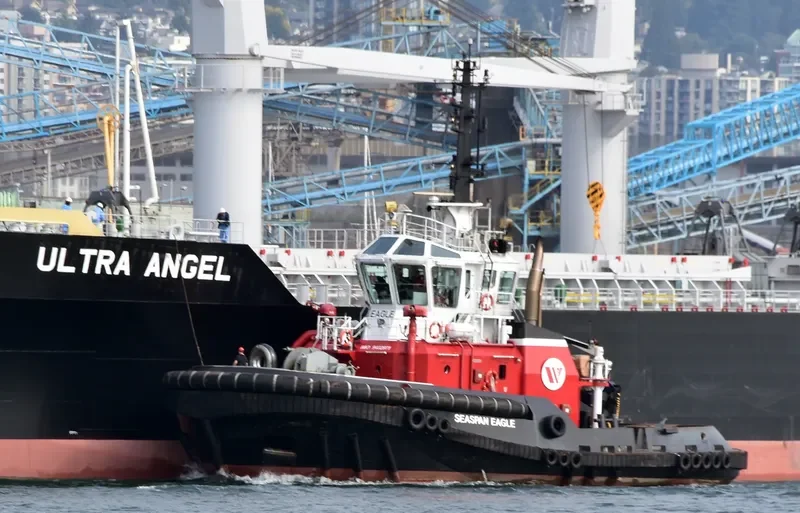 SEASPAN EAGLE General Cargo IMO 9432971 photo 5
