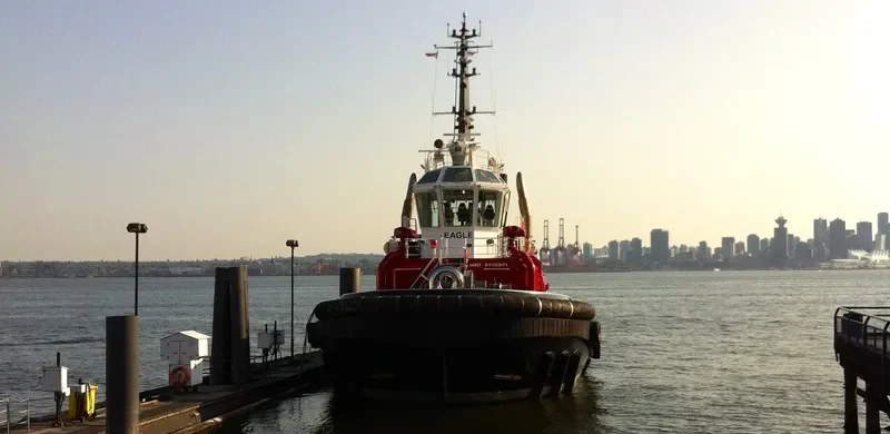 SEASPAN EAGLE General Cargo IMO 9432971 photo 6