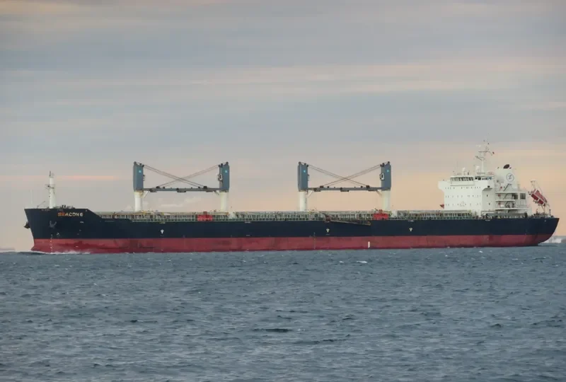 SEACON 8 Bulk Carrier IMO 9433107