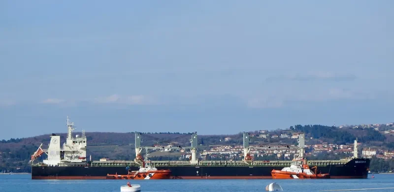 SEACON 8 Bulk Carrier IMO 9433107 photo 2