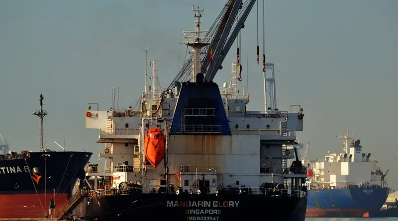 MANDARIN GLORY Bulk Carrier IMO 9433547