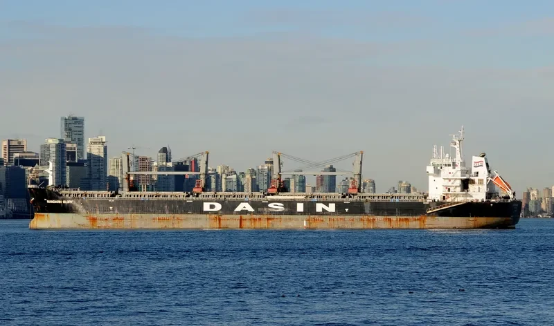 MANDARIN GLORY Bulk Carrier IMO 9433547 photo 10
