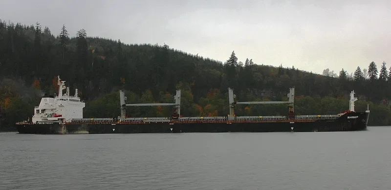 MARINER Bulk Carrier IMO 9433559 photo 2