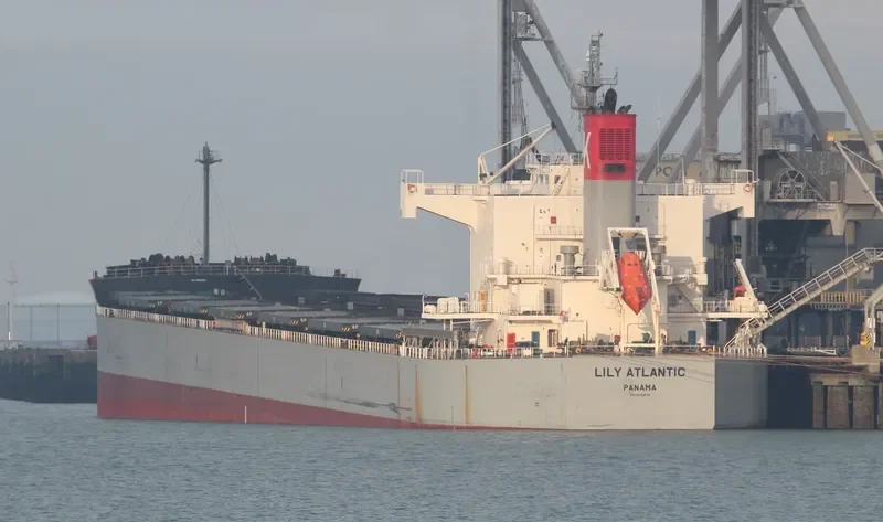 LILY ATLANTIC Bulk Carrier IMO 9433614 photo 2