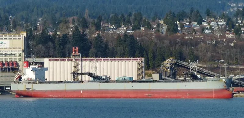 LILY ATLANTIC Bulk Carrier IMO 9433614 photo 5