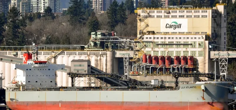 LILY ATLANTIC Bulk Carrier IMO 9433614 photo 6