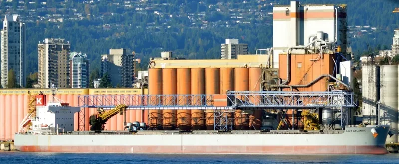 LILY ATLANTIC Bulk Carrier IMO 9433614 photo 7