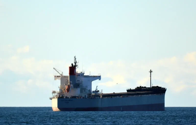 LILY ATLANTIC Bulk Carrier IMO 9433614 photo 8