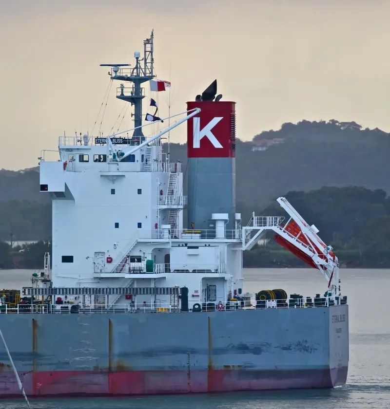 ETERNAL BLISS Bulk Carrier IMO 9433626