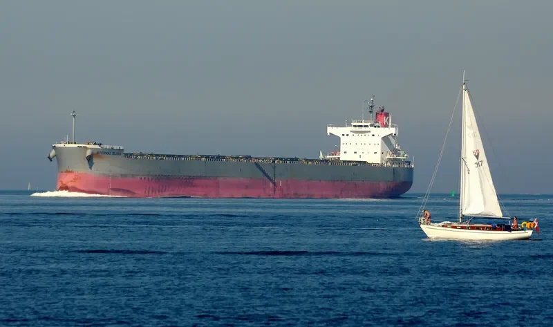 ETERNAL BLISS Bulk Carrier IMO 9433626 photo 4