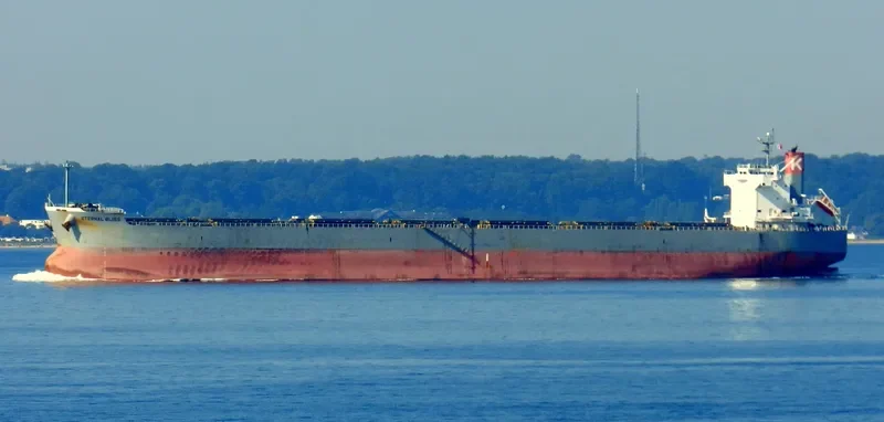 ETERNAL BLISS Bulk Carrier IMO 9433626 photo 5